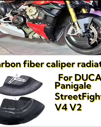 Ducati Streetfighter/Panigale v2/v4