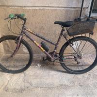 Bicicletta mountain bike