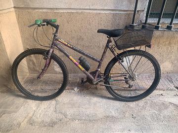 Bicicletta mountain bike