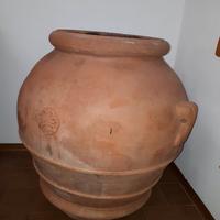 Orcio