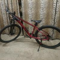 mtb alpina dm3