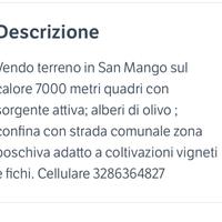 San mango sul calore terreno agricolo