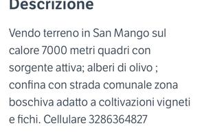 San mango sul calore terreno agricolo