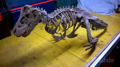 Modellino Scheletro Dinosauro