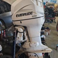 Evinrude Ficht Ram injection 150 motore marino