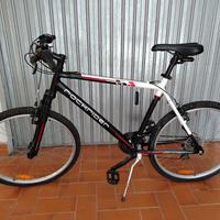 Bicicletta mountain bike 