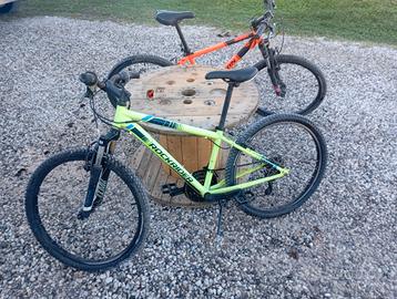 Due biciclette (usate, in buono stato)