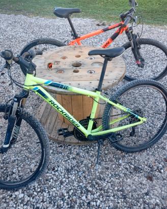 Due biciclette (usate, in buono stato)