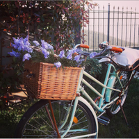 Bici vintage