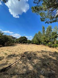 TERRENO mq. 550 zona Ottaviano (NA)