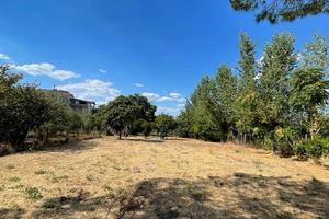 TERRENO mq. 550 zona Ottaviano (NA)