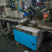 Taglierina professionale semiautomatica