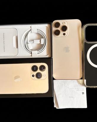 Iphone 13 Pro 256 gb Perfetto + Scontrino