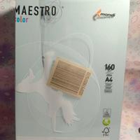 risma cartoncino Maestro Color Mondi blu A4160 g