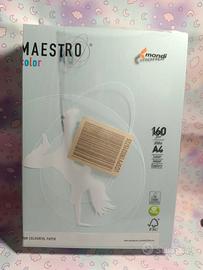risma cartoncino Maestro Color Mondi blu A4160 g