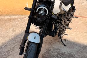 Benelli leoncino 125 2024