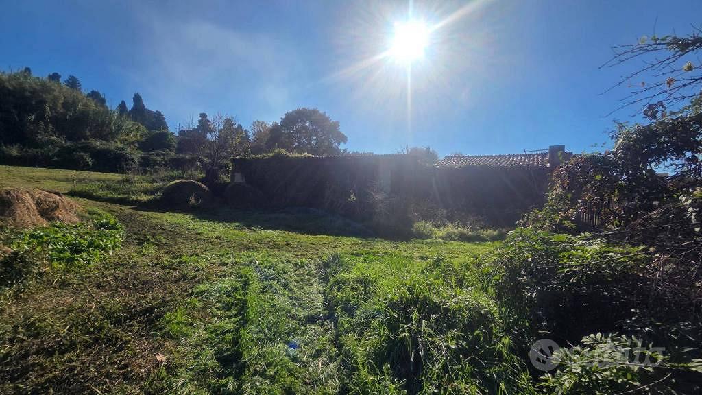Rustico / Casale di 270 m² con più di 5 locali e b - Vista 5