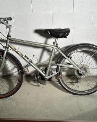 Bicicletta mountain bike