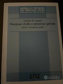 Libro processo civile e penale