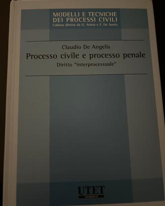 Libro processo civile e penale