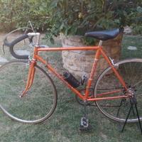 Bici da corsa vintage Vicini