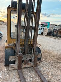 muletto cat v80