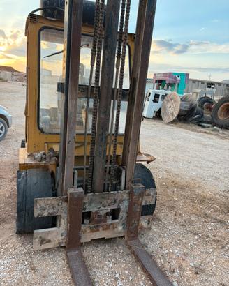 muletto cat v80