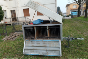 Rimorchio trasporto cani