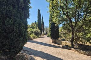 Appartamento nel verde a 6km dal mare