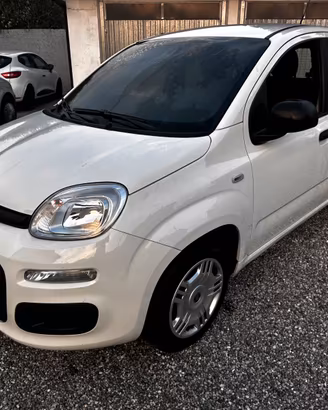 Fiat panda 1.2 benzina 12/2019 IMTERNO BRUCIATO