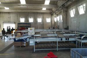 Immobile di 1690 m² con 1 locale a Mondragone