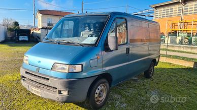 Fiat ducato furgone
