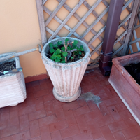 Vaso cemento anni 50