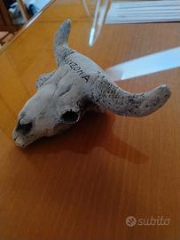 Teschio souvenir Bisonte "Arizona" 