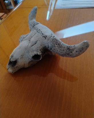 Teschio souvenir Bisonte "Arizona" 