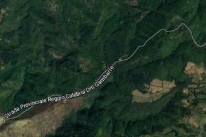 Terreno bosco castagno