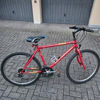 Bicicletta Bottecchia