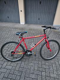 Bicicletta Bottecchia