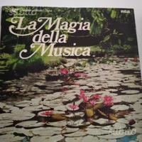 Vinile la magia della musica