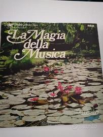 Vinile la magia della musica