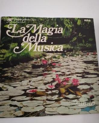 Vinile la magia della musica
