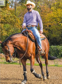 2a quarte horses.Scuola di equitazione