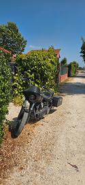 dyna street bob 