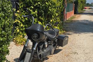 dyna street bob 