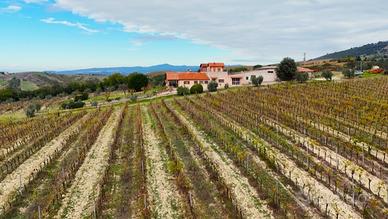 Indipendente a Montecchio