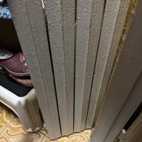 Radiatore Calorifero ghisa