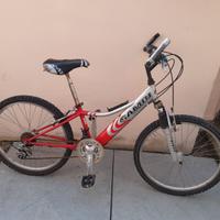 bici 24 sambi