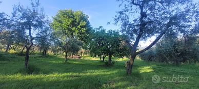 Porzione di terreno a Farfa