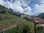 Immagine 20