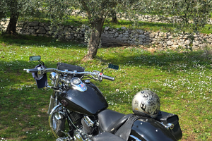 Yamaha dragstar sport